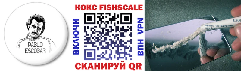 blacksprut ТОР  где купить наркоту  площадка какой сайт  Cocaine Fish Scale  Кстово 