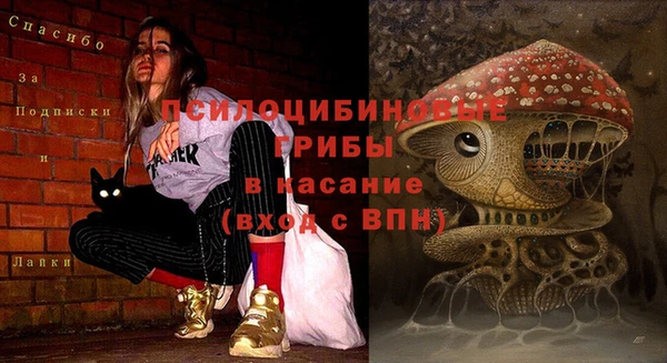 скорость Новозыбков