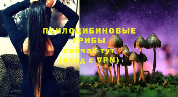 скорость Новозыбков