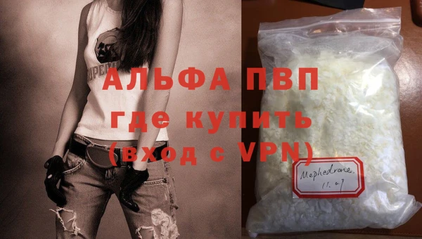скорость Новозыбков