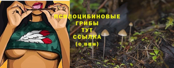 mdma Новодвинск